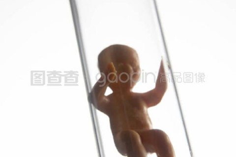 http://fuzhou.nbgk120.com/post/206.html|福州新闻中心
